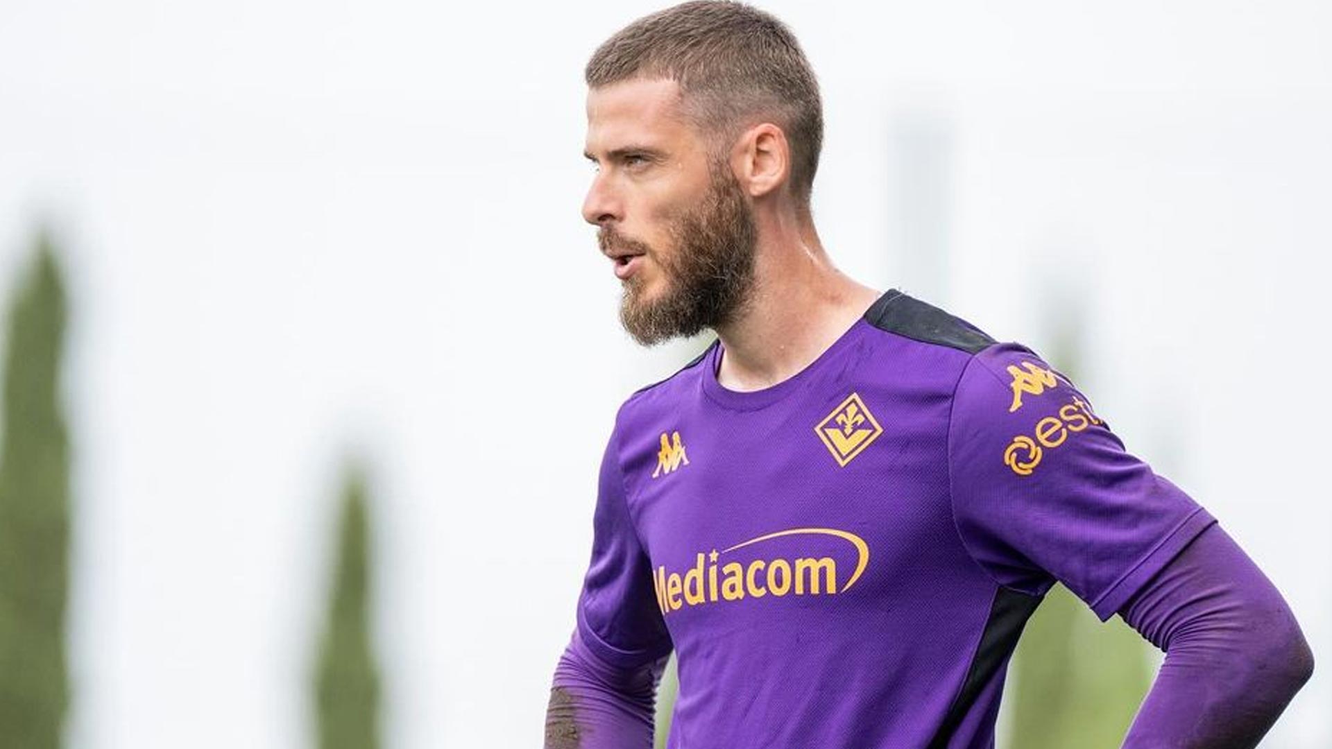 Fiorentina Bangkit dengan Kemenangan atas Sassuolo